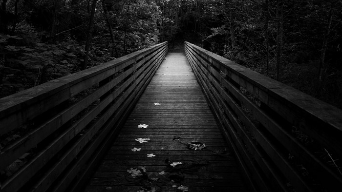 Wooden bridge with fallen leaves in forest