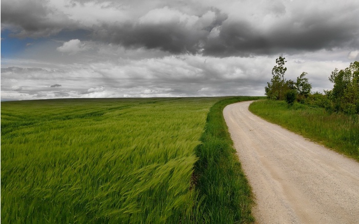 Dirt road through a green field under cloudy sky