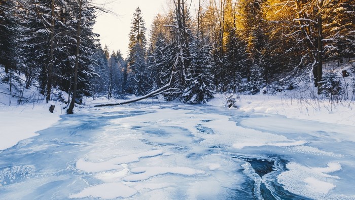 Frozen river in a snowy forest