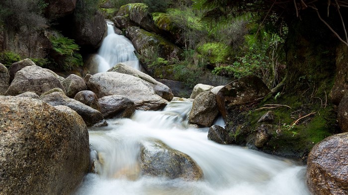 Waterfall flowing over rocks in a forest