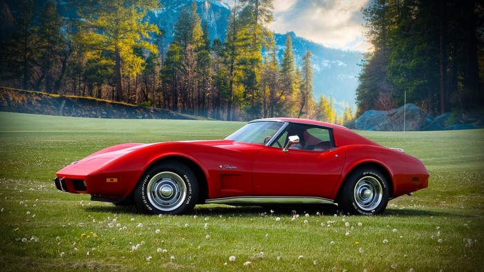 1976 Chevrolet Corvette Stingray on a grassy field