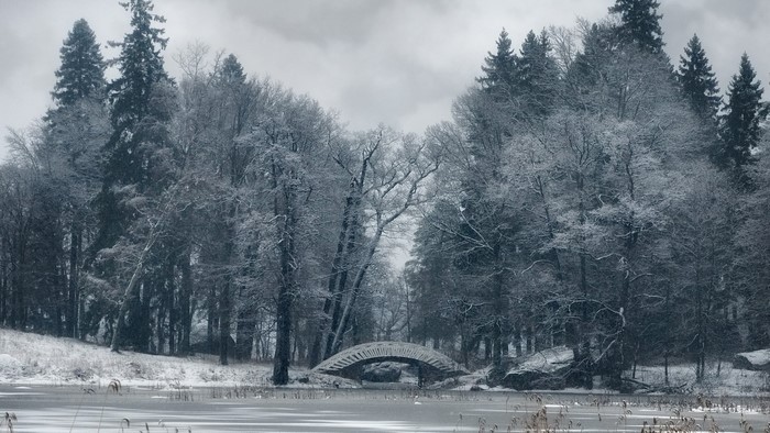 Snowy forest with a bridge over a frozen lake