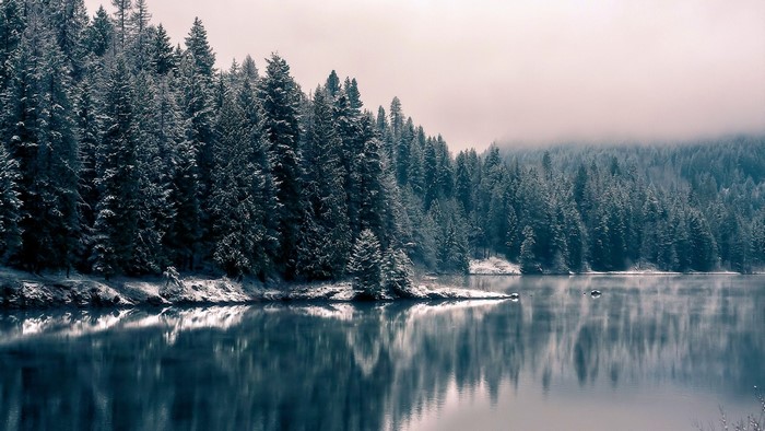 Snow-covered pine forest reflected in a calm lake