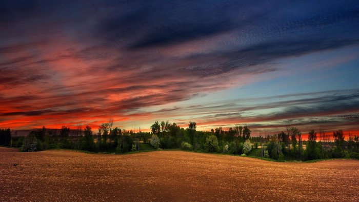 Sunset over a field and trees