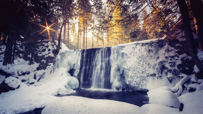 Frozen waterfall in a sunlit forest