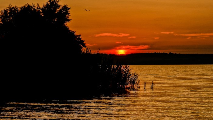 4K Sunset over a Lake with Silhouetted Trees