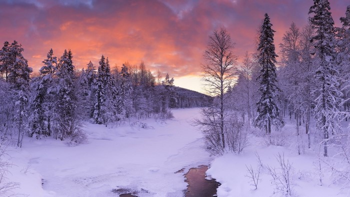 Snowy forest with colorful sunset in Lapland, Finland