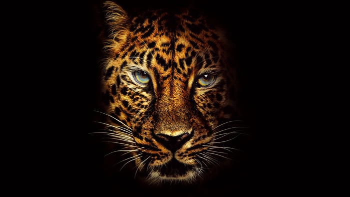 Jaguar face 4K
