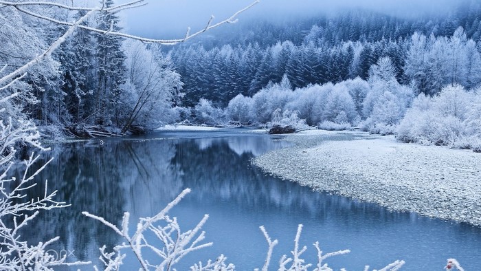 Frozen forest and river landscape