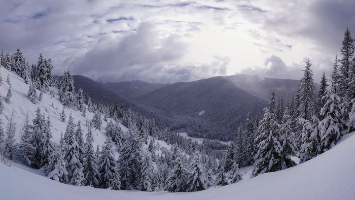 Snowy mountain landscape with pine trees