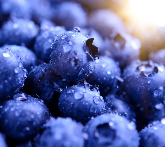 Blueberries, Macro