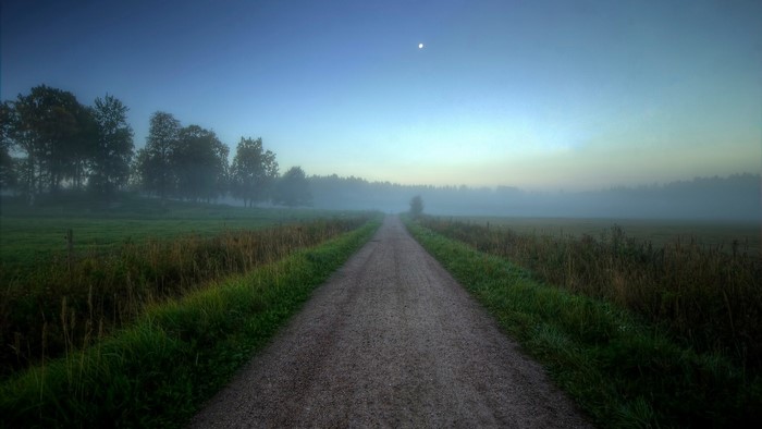 Dirt road through a foggy field at dawn