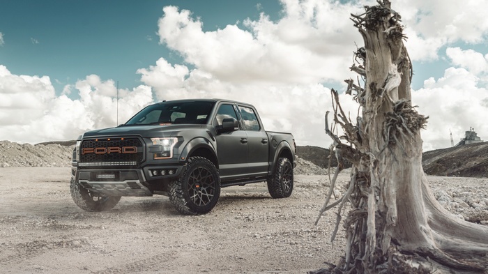 Ford F-150 Raptor in a Desert Landscape