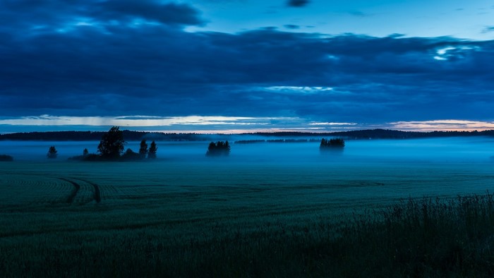 Blue fog over a field at dusk