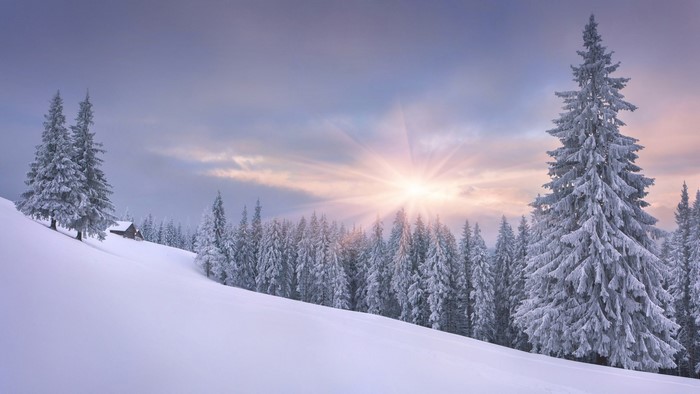 Winter landscape with snow-covered trees and a cabin