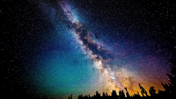 Milky Way Galaxy Over Silhouette Trees