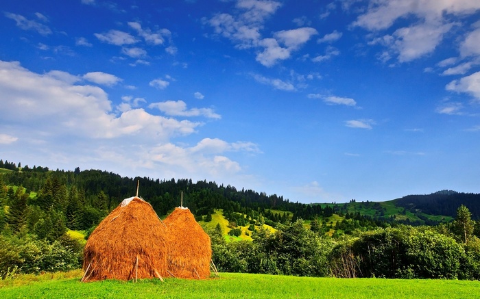 Haystacks in a green field with forested hills