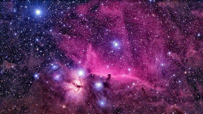 Horsehead Nebula in Orion