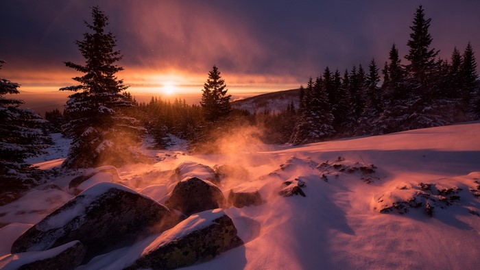 Sunrise over a snowy forest with mist
