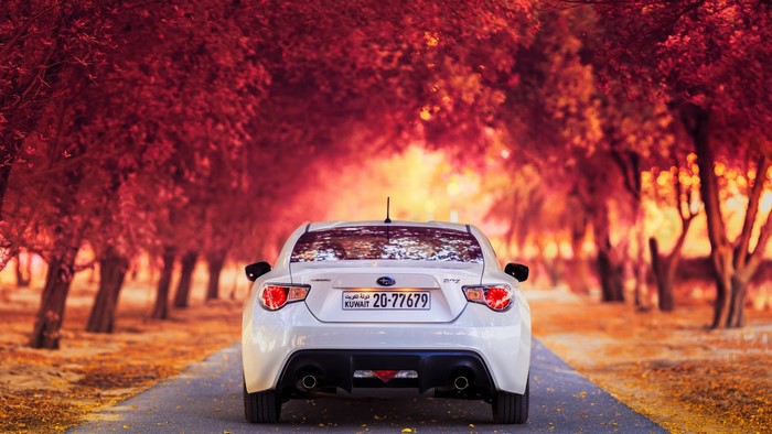 White Subaru BRZ on an autumn road