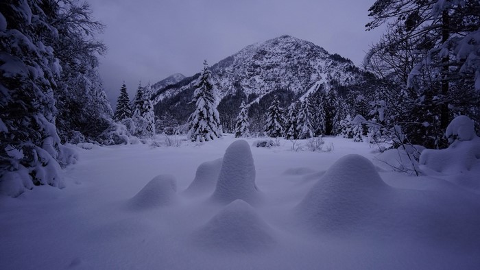 Snowy mountain landscape with pine trees