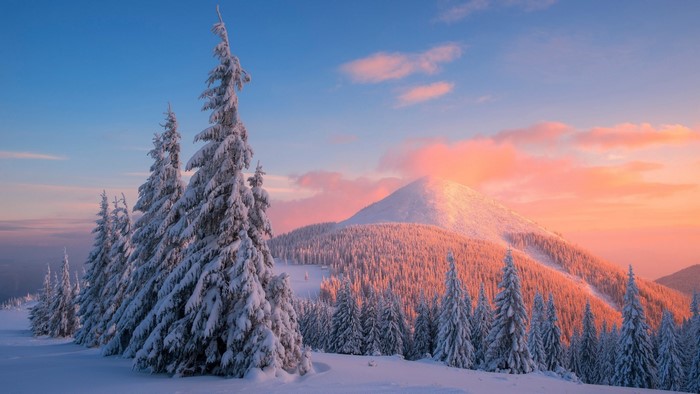 Snow-covered Carpathian Mountains in Ukraine at sunrise