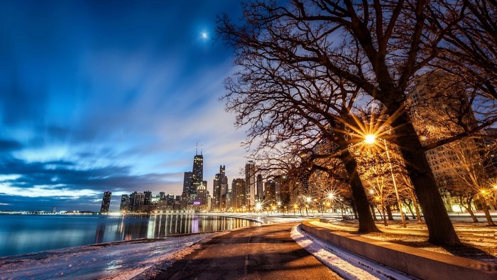 Chicago skyline at dusk with trees and streetlights