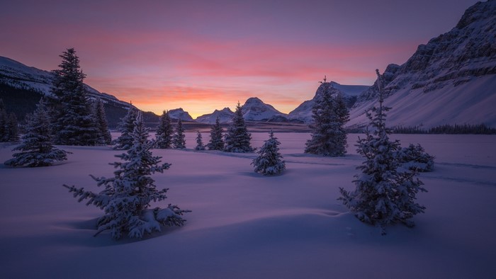 Snowy landscape with pine trees and mountains at sunset