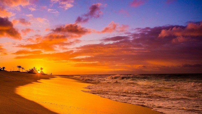 Sunset over a Hawaiian beach with palm trees