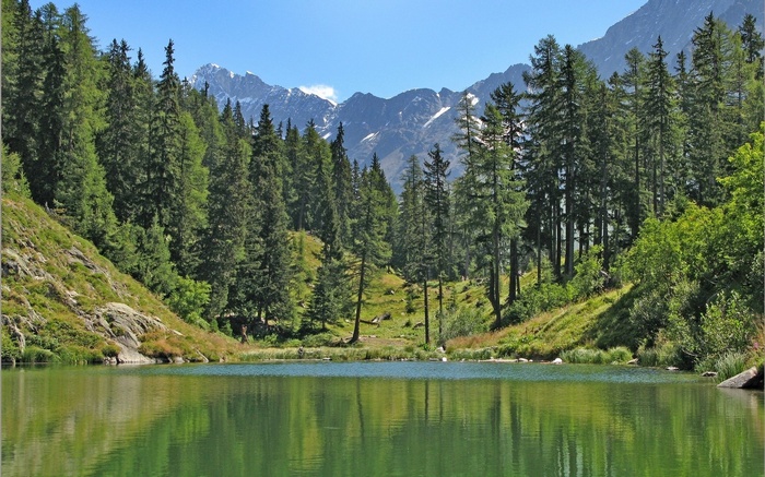 Mountain lake surrounded by pine trees and snow-capped peaks