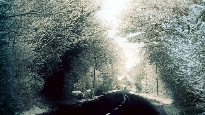 Snow covered road through trees