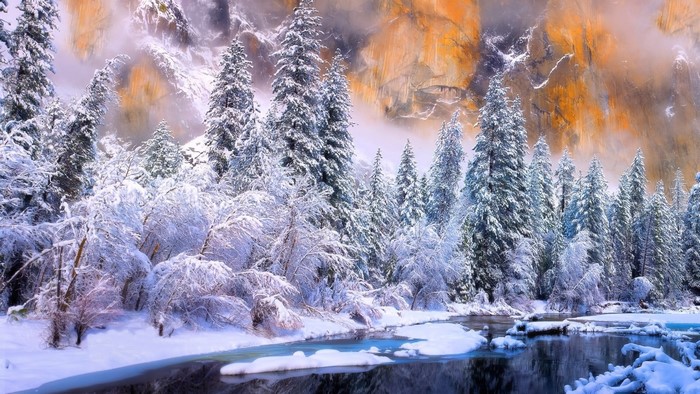 Snow-covered trees by a river with mountains in the background