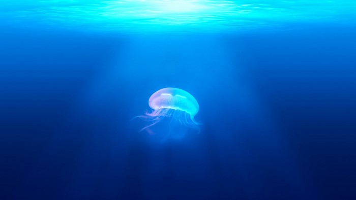 Jellyfish underwater with sun rays