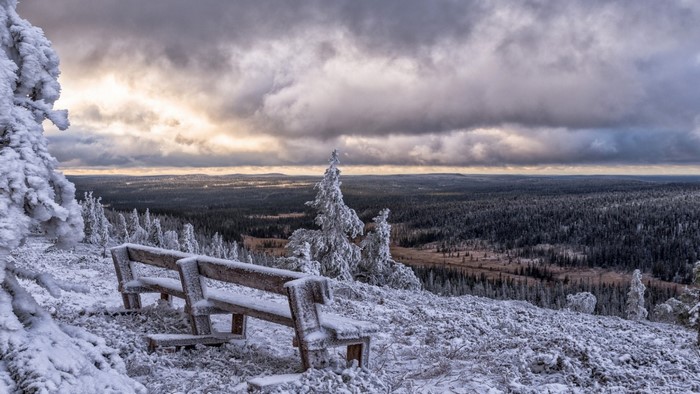 Snow-covered bench overlooking a forest in Finland