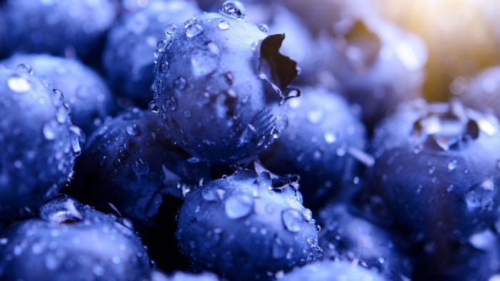Macro shot of blueberries with water droplets