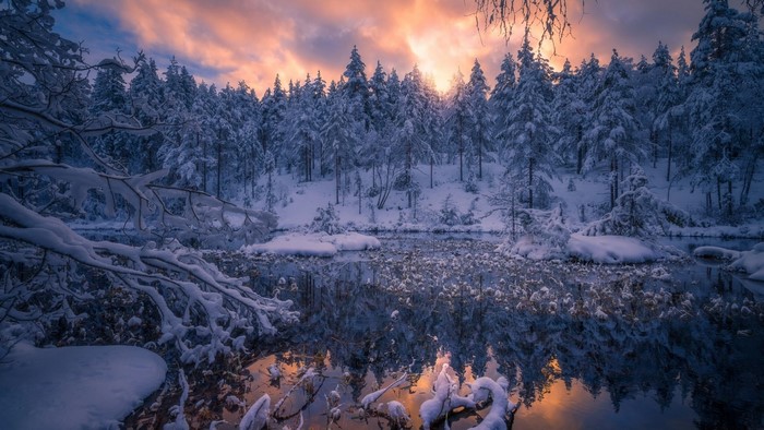 Snowy forest reflected in water at sunset