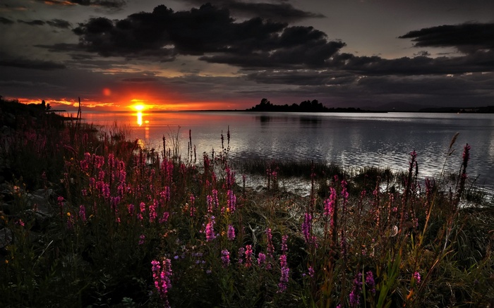Sunset over a lake with flowers in the foreground