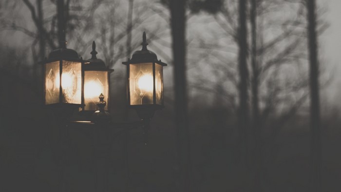 Lanterns in a dark forest