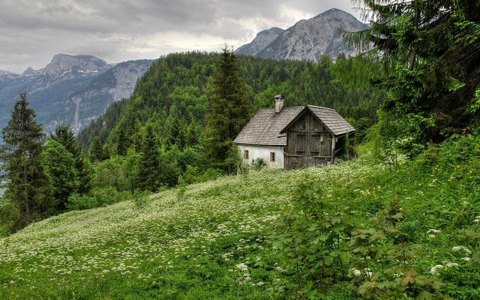 Wooden cabin on a flower-covered hillside with mountains