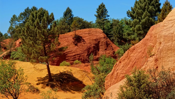 4K Nature Landscape with Red Rocks and Pine Trees