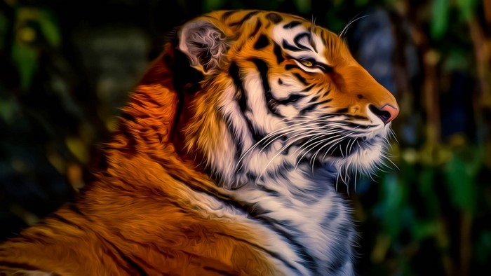 Tiger resting in a forest