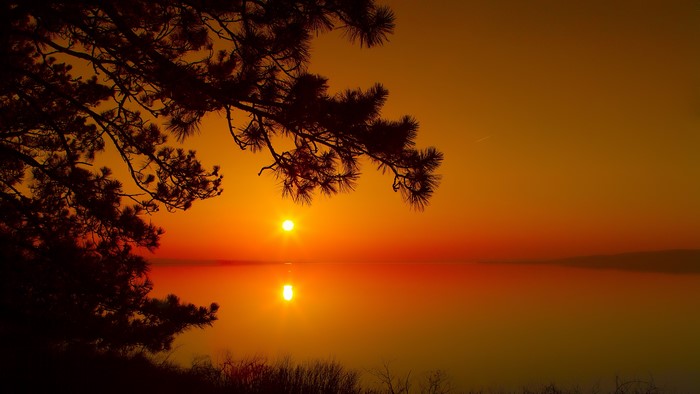 4K Dawn Over Lake with Pine Tree Silhouette