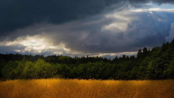 Stormy sky over a field and forest