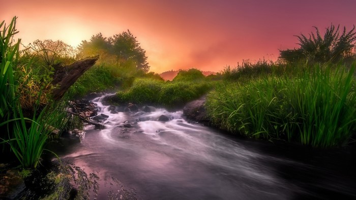Stream flowing through a grassy landscape at sunset