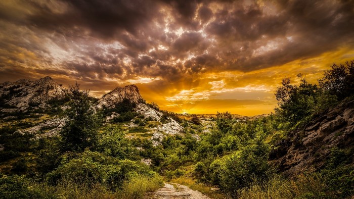 Sunset over rocky mountains with trees