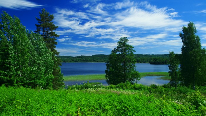 4K Nature Landscape with Lake and Trees