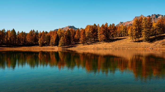 Autumn forest reflected in a clear lake