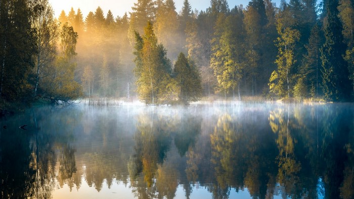 Misty Morning Lake with Forest Reflection