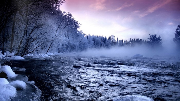 Misty River in a Frosty Forest