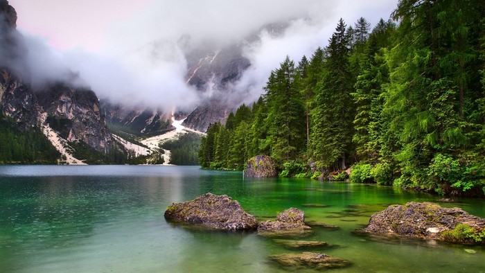 Lake and mountains with pine forest